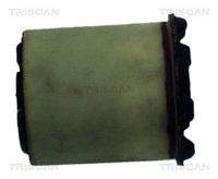 TRISCAN 850065829 Lagerung, Achskörper