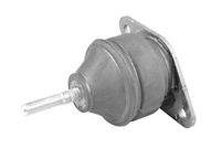 TEDGUM 01160777 Lagerung, Motor