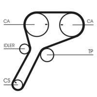 CONTINENTAL CTAM CT1151 Zahnriemen