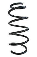 SPIDAN 87467 Fahrwerksfeder