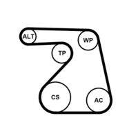 CONTINENTAL CTAM 6PK1217K2 Keilrippenriemensatz