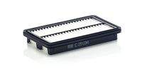 MANN-FILTER C25034 Luftfilter