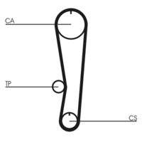 CONTINENTAL CTAM CT895 Zahnriemen