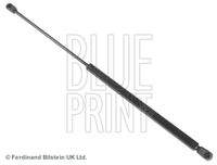 BLUE PRINT ADG05811 Gasfeder, Koffer-/Laderaum