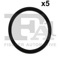 FA1 076379005 Dichtring