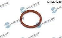 Dr.Motor Automotive DRM01239 Dichtring, Motorölstandsensor