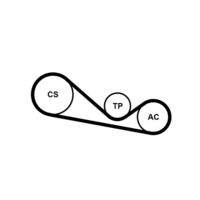 CONTINENTAL CTAM 4PK1237K1 Keilrippenriemensatz