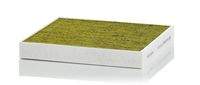 MANN-FILTER FP24021 Filter, Innenraumluft