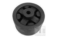 TEDGUM 00168157 Lagerung, Motor