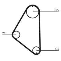 CONTINENTAL CTAM CT558 Zahnriemen