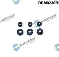 Dr.Motor Automotive DRM0230R Dichtung, Zylinderkopfhaubenschrauben