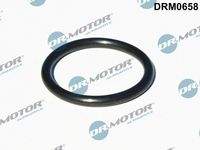 Dr.Motor Automotive DRM0658 Dichtung, Turbineneinlass (Lader)