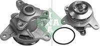 Schaeffler INA 538039910 Wasserpumpe, Motorkühlung