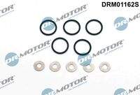 Dr.Motor Automotive DRM01162S Dichtungssatz, Einspritzdüse