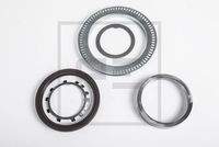 PE Automotive 01170900A Dichtungssatz, Radnabe