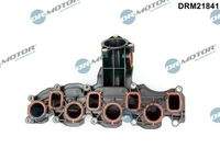 Dr.Motor Automotive DRM21841 Saugrohrmodul