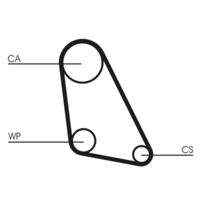 CONTINENTAL CTAM CT534 Zahnriemen