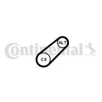 CONTINENTAL CTAM 6PK799ELAST Keilrippenriemen