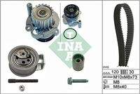 Schaeffler INA 530009131 Wasserpumpe + Zahnriemensatz