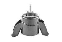 TEDGUM TED55519 Lagerung, Motor