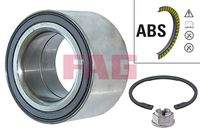 Schaeffler FAG 713668100 Radlagersatz