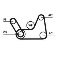 CONTINENTAL CTAM 6PK1019ELASTT1 Keilrippenriemensatz