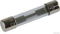 HERTH+BUSS ELPARTS 50295155 Sicherung