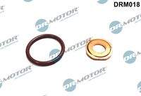 Dr.Motor Automotive DRM018 Dichtungssatz, Einspritzdüse