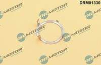 Dr.Motor Automotive DRM01330 Dichtung, AGR-Ventil