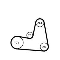 CONTINENTAL CTAM 7PK1125K1 Keilrippenriemensatz