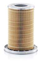 MANN-FILTER C19384/1 Luftfilter
