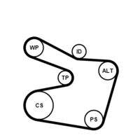 CONTINENTAL CTAM 6PK1538K2 Keilrippenriemensatz