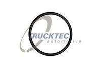 TRUCKTEC AUTOMOTIVE 0810094 Dichtring