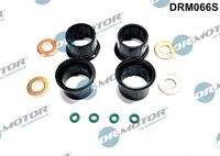 Dr.Motor Automotive DRM066S Dichtungssatz, Einspritzdüse