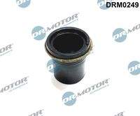 Dr.Motor Automotive DRM0249 Dichtung, Düsenhalter