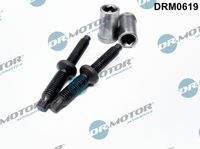 Dr.Motor Automotive DRM0619 Schraube, Einspritzdüsenhalter