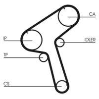 CONTINENTAL CTAM CT843 Zahnriemen