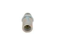 BOSCH 1110010030 Druckbegrenzungsventil, Common-Rail-System