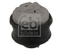 FEBI BILSTEIN 10120 Lagerung, Motor