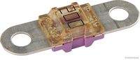HERTH+BUSS ELPARTS 50295867 Sicherung
