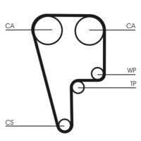 CONTINENTAL CTAM CT1102 Zahnriemen