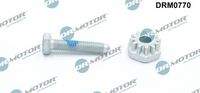Dr.Motor Automotive DRM0770 Spannschraube, Generatorhalter