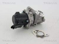 TRISCAN 881328003 AGR-Ventil