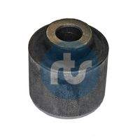 RTS 01700309 Lagerung, Lenker