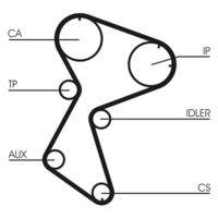 CONTINENTAL CTAM CT966 Zahnriemen