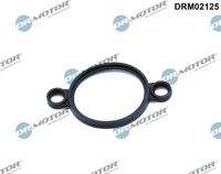 Dr.Motor Automotive DRM02125 Dichtung, Stellelement (Exzenterwelle)