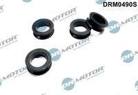 Dr.Motor Automotive DRM0490S Dichtring, Einspritzventil