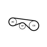 CONTINENTAL CTAM 5PK890K3 Keilrippenriemensatz