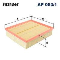 FILTRON AP063/1 Luftfilter