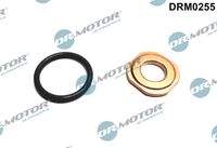 Dr.Motor Automotive DRM0255 Dichtungssatz, Einspritzdüse